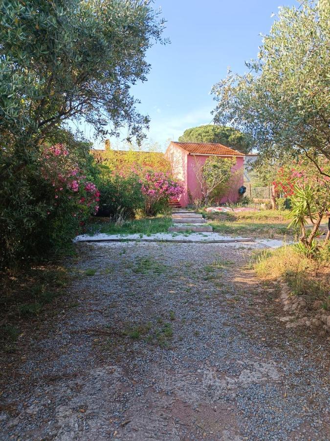 Maison De Vacances, Proche De La Frejus
